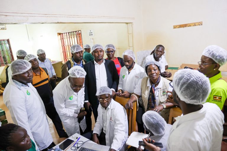 Team from HortiFresh, MAAIF, and SwissContact inspecting Shaga Greens Ltd to observe the implementation of the RUSH Online system in their packhouse operations.